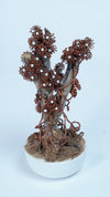 Copper Wire Bonsai Tree with Natural Branch & Ceramic Base – 7.6" Tall