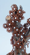 Copper Wire Bonsai Tree with Natural Branch & Ceramic Base – 7.6" Tall